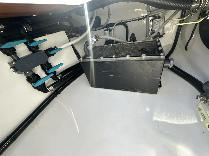 Slide: The Image of Freeman 47 2022 - 78