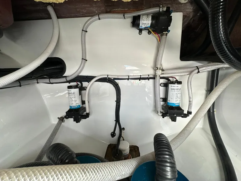 Slide: The Image of Freeman 47 2022 - 79