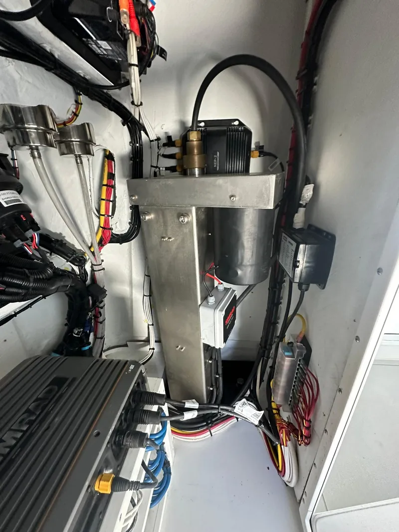 Slide: The Image of Freeman 47 2022 - 84