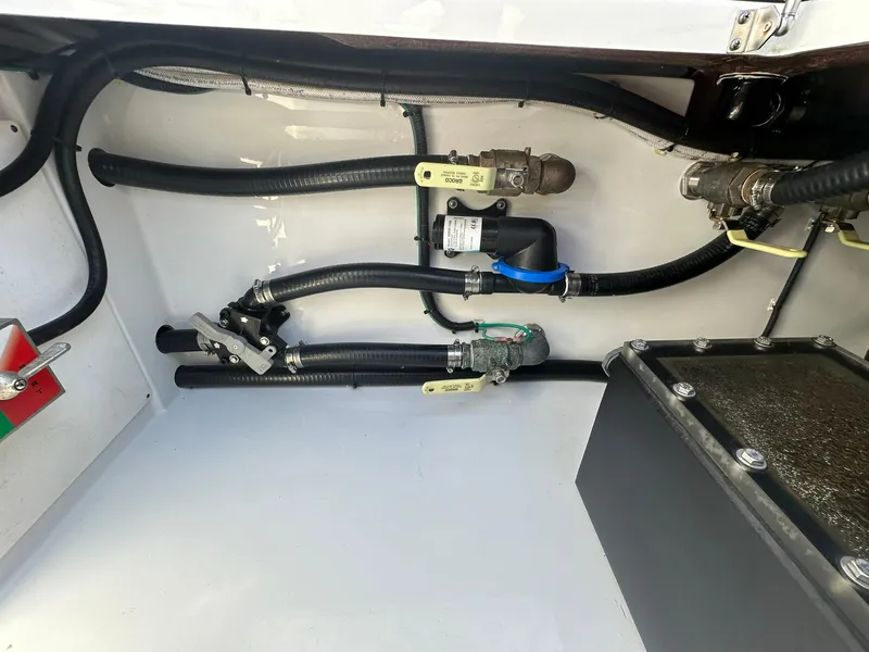 Slide: The Image of Freeman 47 2022 - 89