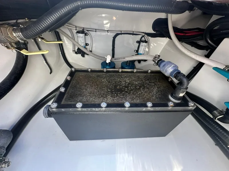 Slide: The Image of Freeman 47 2022 - 91