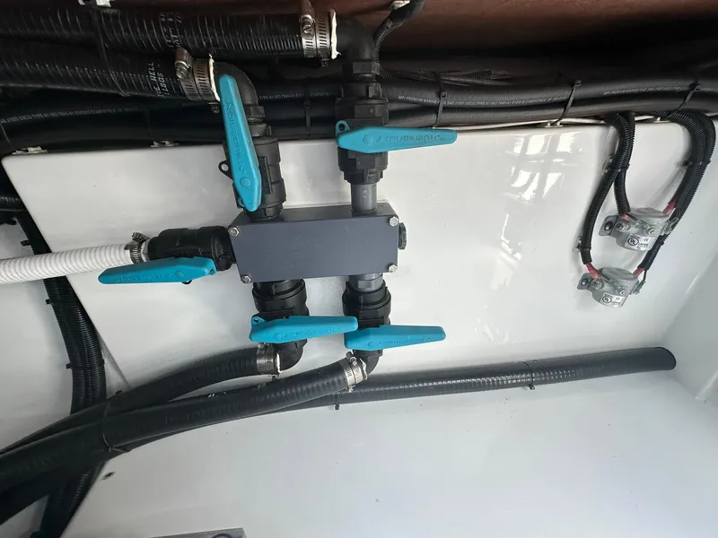 Slide: The Image of Freeman 47 2022 - 93