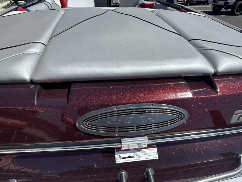 Slide: The Image of Sanger V215 SX 2024 - 15