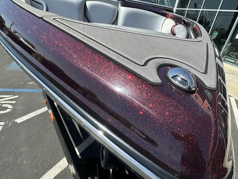 Slide: The Image of Sanger V215 SX 2024 - 5