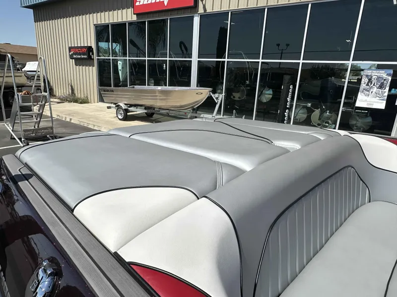 Slide: The Image of Sanger V215 SX 2024 - 8