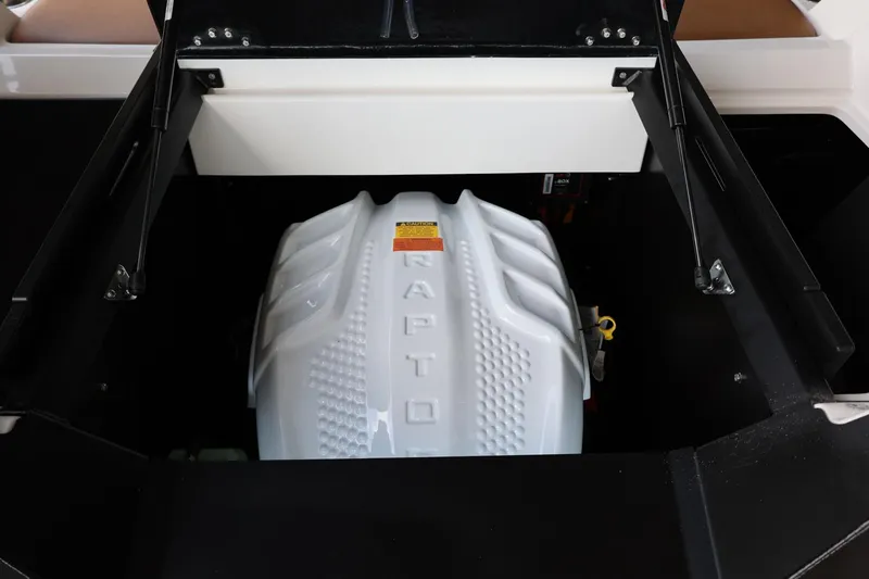 Slide: The Image of Tigé 24RZX 2025 - 54