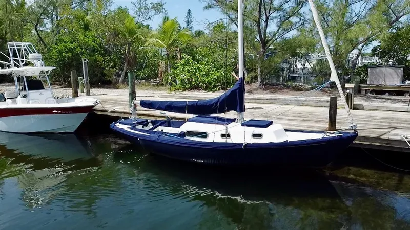 The Image of 1968 Sailboat 24 docked beside another boat, surrounded by lush greenery. - 0