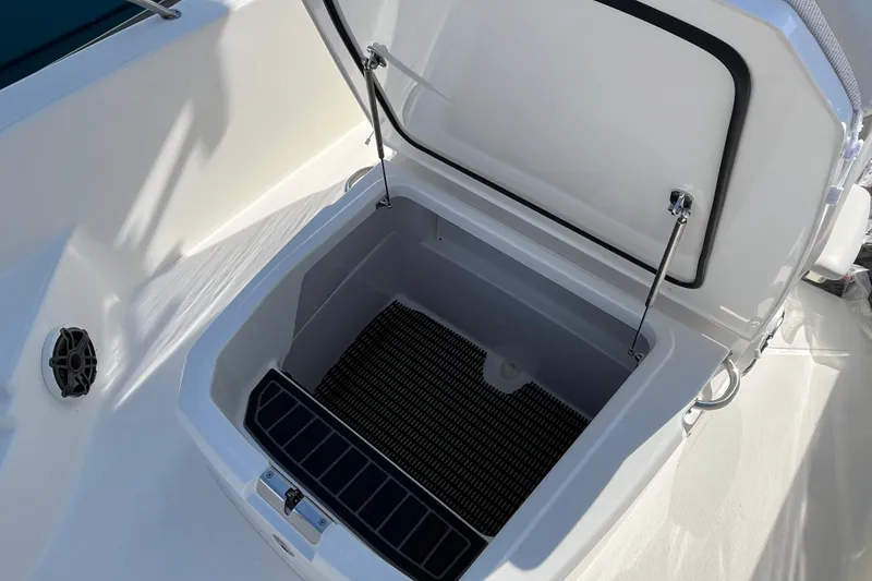 Slide: The Image of Open storage compartment on 2026 Boston Whaler 250 Dauntless boat. - 20