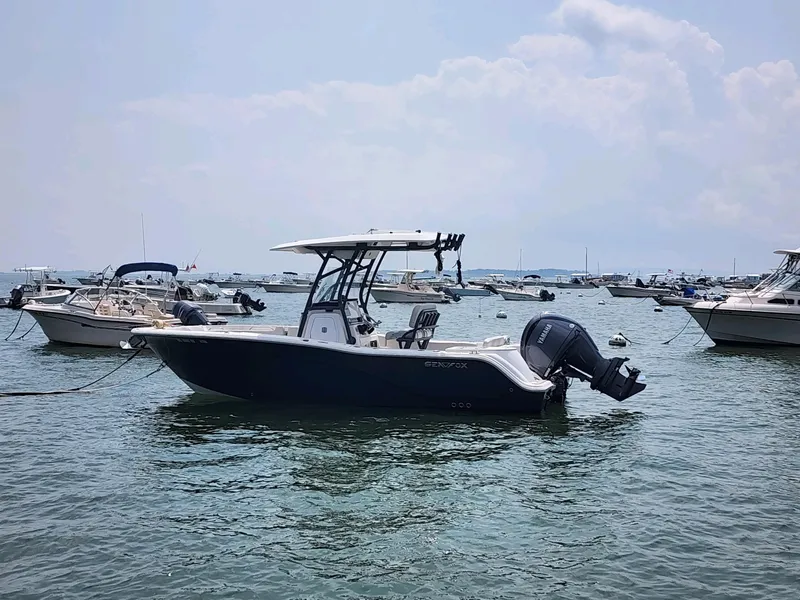 The Image of Sea Fox 228 Commander 2024 - 0