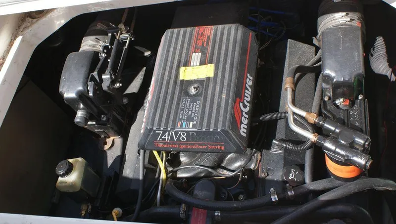 Slide: The Image of Sea Ray Sundancer 1995 - 24