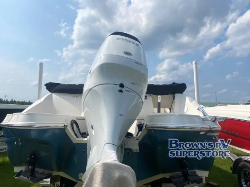 Slide: The Image of Stingray 231 2024 - 5