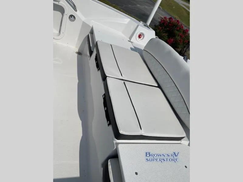 Slide: The Image of Stingray 216 2025 - 9