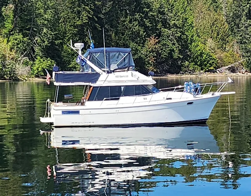 The Image of 1992 Bayliner 3288 Motoryacht on calm water, surrounded by lush green trees. - 1