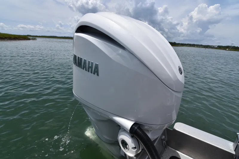 Slide: The Image of Bennington 27 QFB 2024 - 64