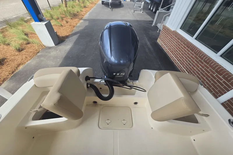 Slide: The Image of Scout 175 Sport Dorado 2026 - 5