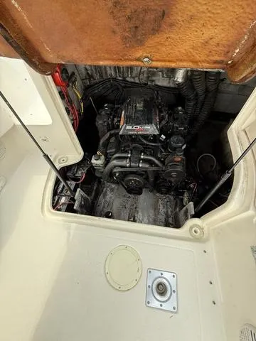 Slide: The Image of Chaparral Sunesta 233 1999 - 5