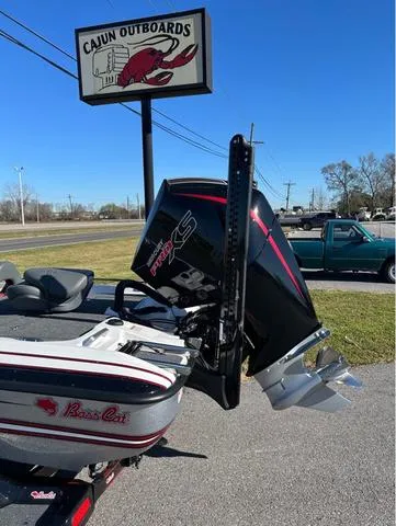 Slide: The Image of Bass Cat Cougar FTD SP 2025 - 7