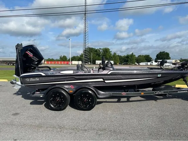 The Image of Bass Cat Eyra 2021 - 1