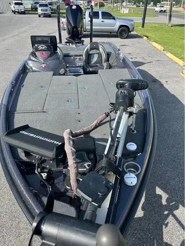 Slide: The Image of Bass Cat Eyra 2021 - 3