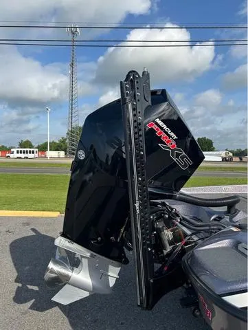 Slide: The Image of Bass Cat Eyra 2021 - 5