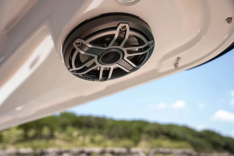 Slide: The Image of Sunsation 32 CCX 2026 - 23