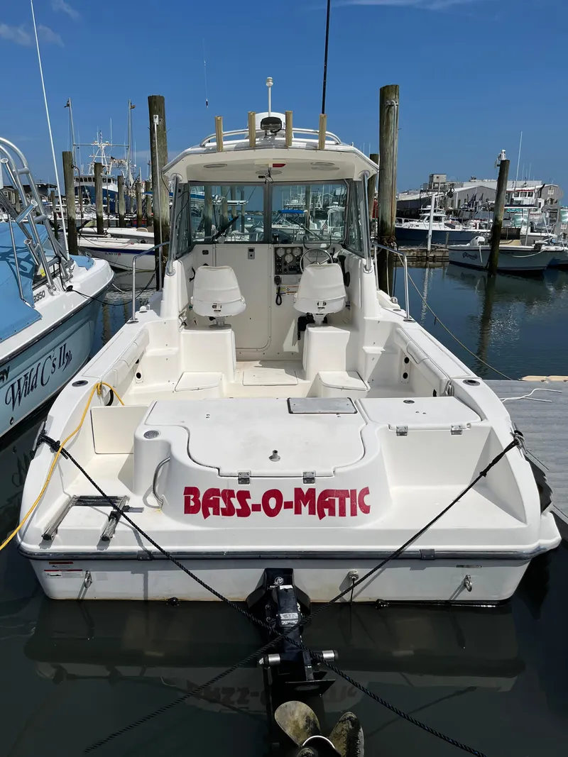 Slide: The Image of Seaswirl 2301 Walkaround I/O 2008 - 2