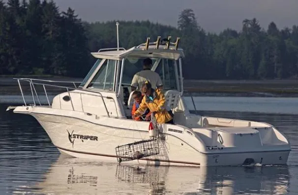 Slide: The Image of Striper 2301 WA I/O - 8