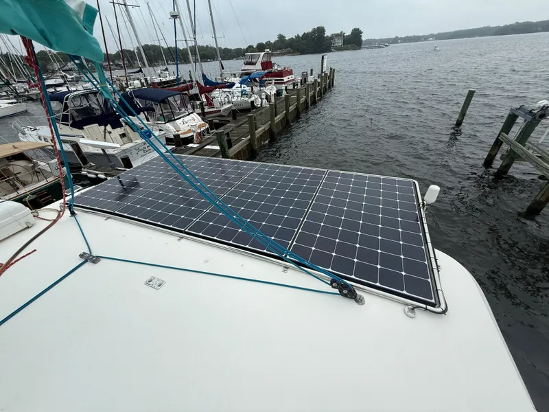 Slide: The Image of Leopard 48 2013 - 80