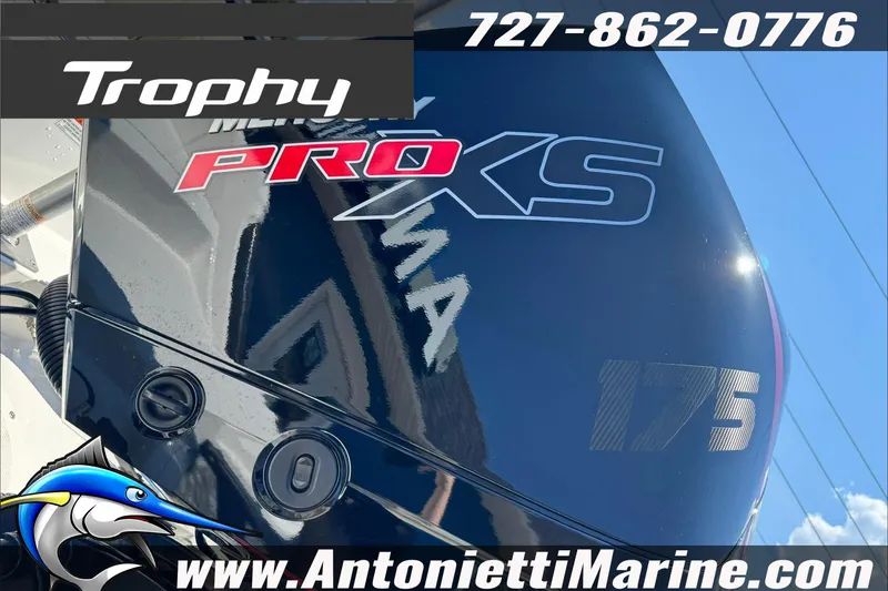 Slide: The Image of ```html ``` - 8