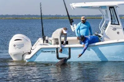Slide: The Image of 2026 Tidewater 256 CC Adventure boat with Yamaha engine in a showroom setting. - 4
