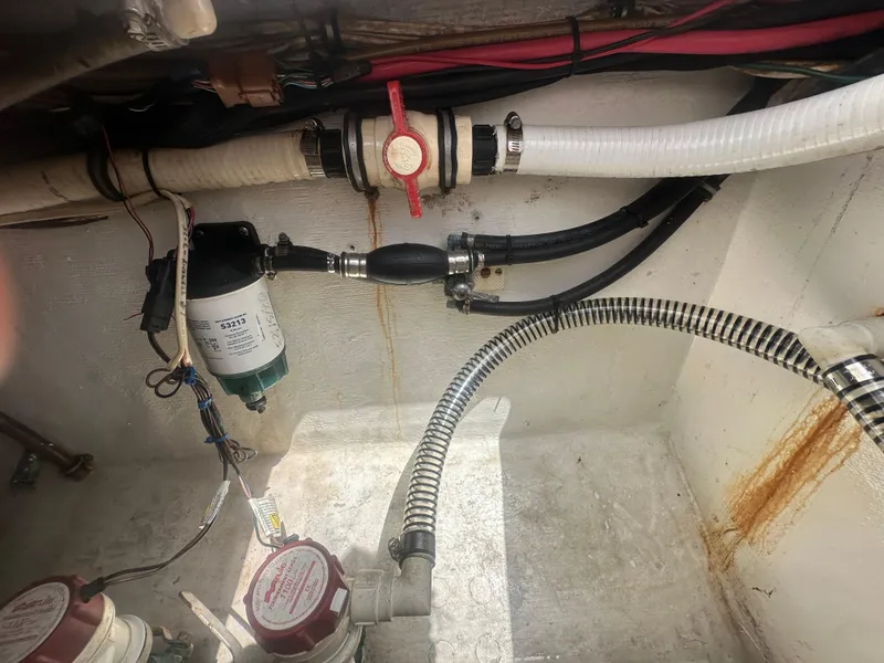 Slide: The Image of Contender 36 Open 2008 - 62