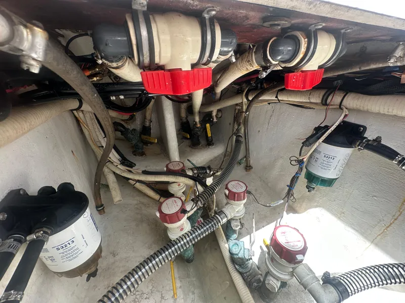 Slide: The Image of Contender 36 Open 2008 - 63