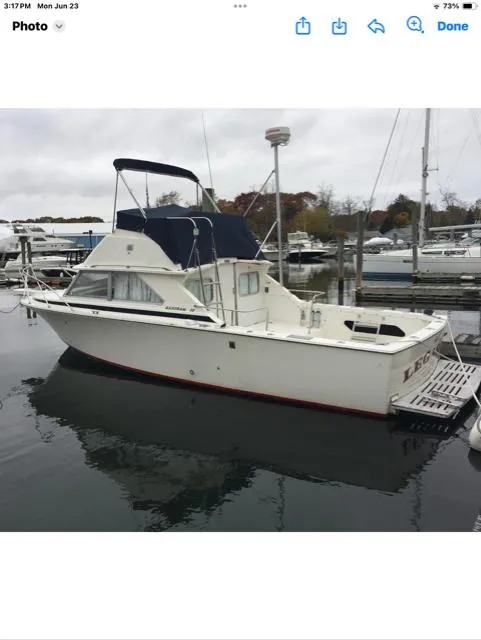 The Image of 1974 Bertram 28 Flybridge boat docked in a marina, featuring classic design and blue canopy. - 0
