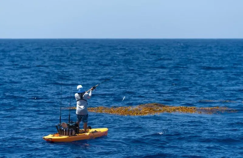 Slide: The Image of Person fishing on 2025 Hobie Mirage Outback kayak in open ocean. - 2
