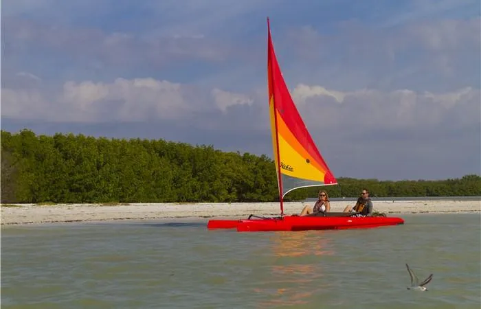 Slide: The Image of 2025 Hobie Mirage Tandem Island sailing near a lush green shoreline. - 6