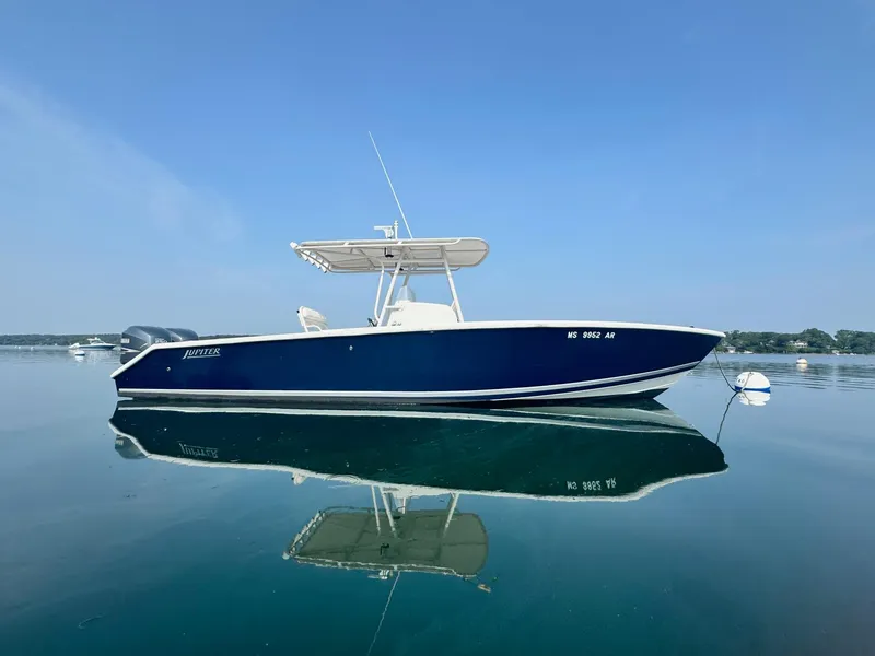 Slide: The Image of Jupiter 29 FS 2007 - 0