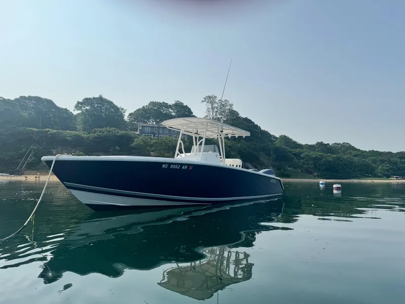 Slide: The Image of Jupiter 29 FS 2007 - 3