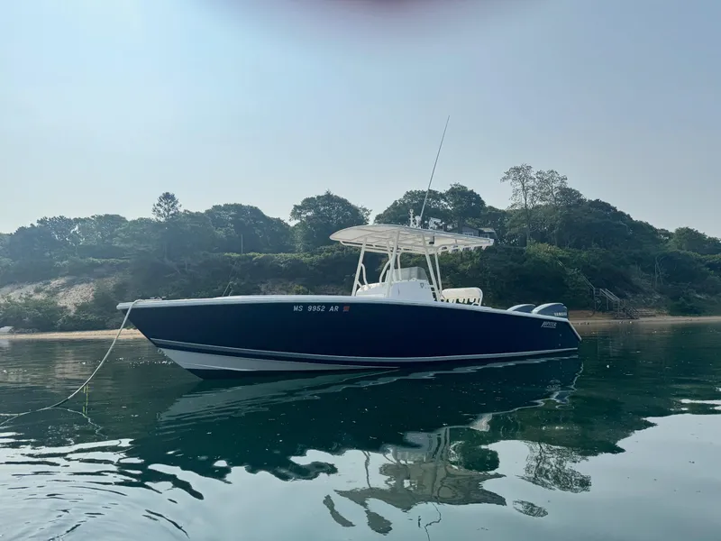 Slide: The Image of Jupiter 29 FS 2007 - 4