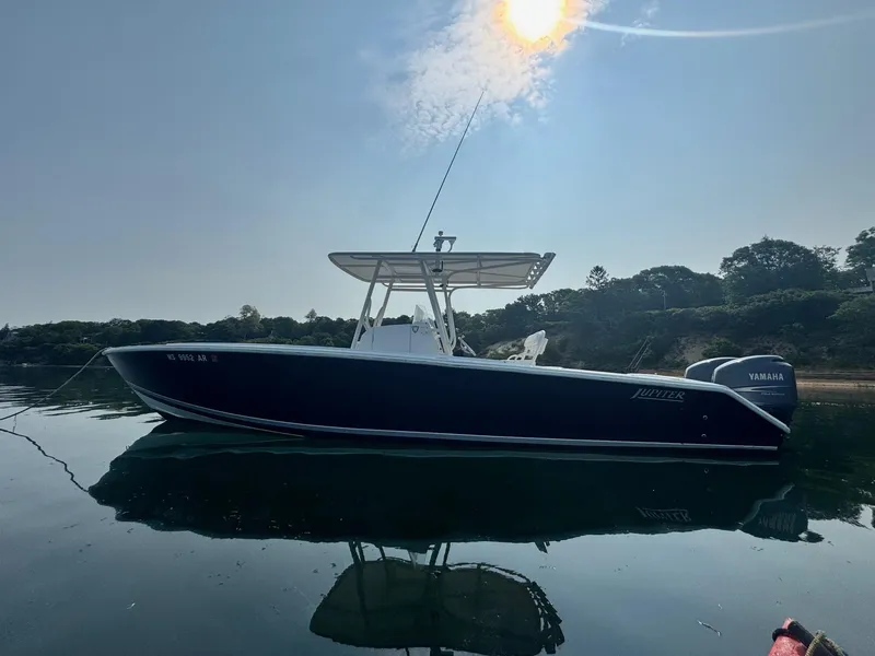 Slide: The Image of Jupiter 29 FS 2007 - 5