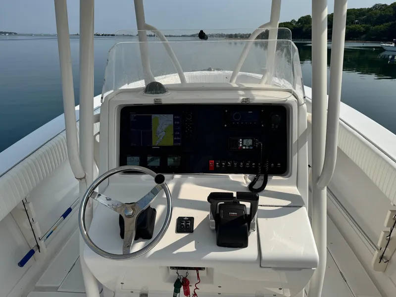 Slide: The Image of Jupiter 29 FS 2007 - 7