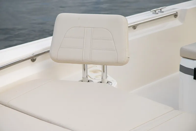 Slide: The Image of Boston Whaler 210 Montauk 2026 - 15