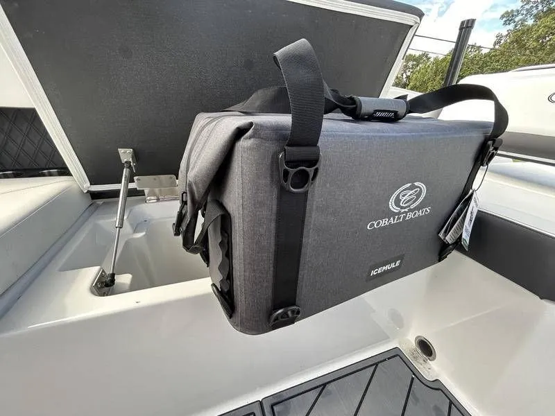 Slide: The Image of Cobalt R8 Outboard 2025 - 48