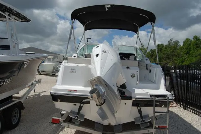 Slide: The Image of Blackfin 232 DC 2025 - 6