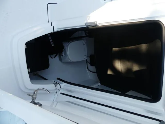 Slide: The Image of Blackfin 222 CC 2026 - 27