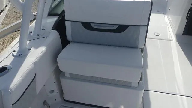 Slide: The Image of Blackfin 252 DC 2026 - 17