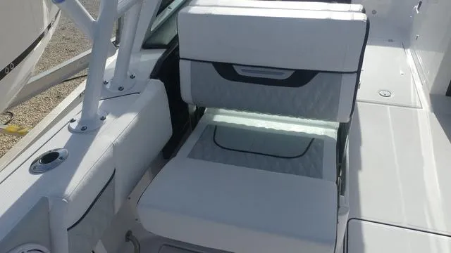 Slide: The Image of Blackfin 252 DC 2026 - 18