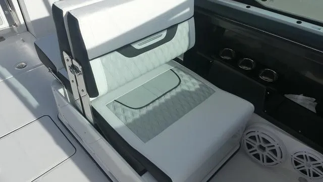 Slide: The Image of Blackfin 252 DC 2026 - 19