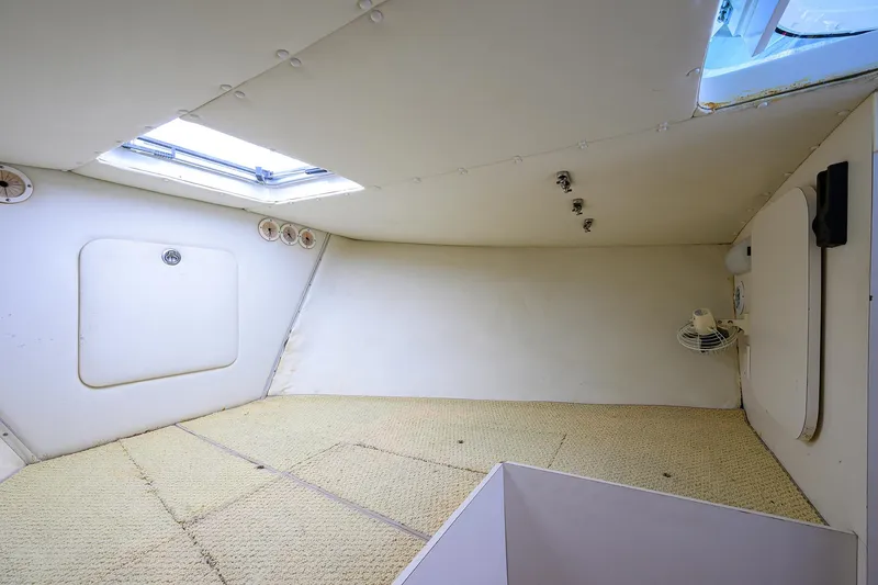 Slide: The Image of Bertram 31 Mr. Toad - - 12