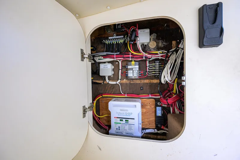 Slide: The Image of Bertram 31 Mr. Toad - - 16