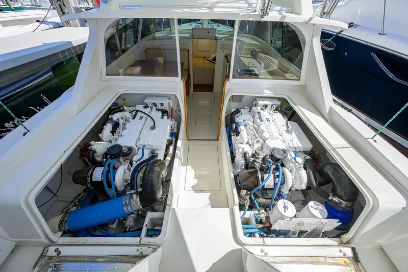 Slide: The Image of Bertram 31 Mr. Toad - - 29